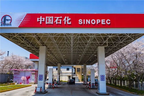 中國石化37周年慶 在能源領域譜寫華章，租賃市場見證發展足跡